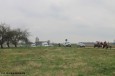 Święcenie pól_2015 (32)