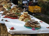 Dożynki Radzymin 30.08 (31)