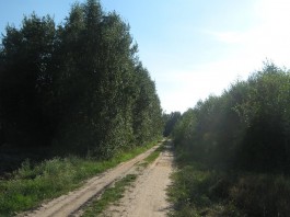 Lato Lidia Jeziak2