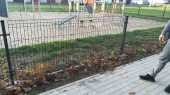 Rozbudowa_OSA_lampy_Nacpolsk_10_2019 (1)
