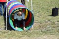 Mazowieckie Dni Rolnictwa 2016 (163)
