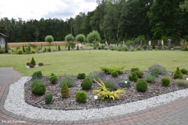 Ogrody_Wiśniewska_2020 (9)