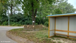 Przystanek i lampa_Sosenkowowo_MIAS 2021 (8)