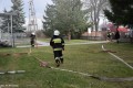Ewakuacja Maluch_1_21.03 (72)