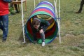Mazowieckie Dni Rolnictwa 2016 (65)