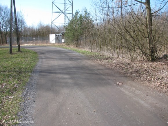 Zdjęcia z trasy biegu (8)