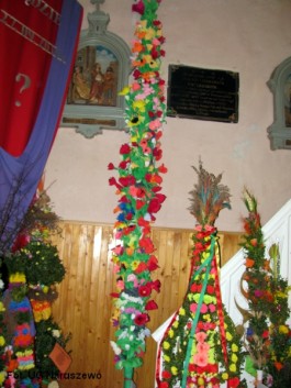 Ocena palm_2015 (5)