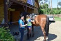 Zawody TREC_12_13 (4)