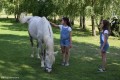 Zawody TREC_12_13 (78)