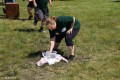 VII Turniej Ekologiczny_10.06.2017r (131)