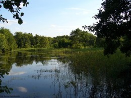 Gminne pejzaże - Krysk (5)
