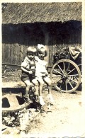 Gmina Naruszewo na starych fotografiach (9)