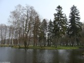 Gminne pejzaże - Nacpolsk (4)