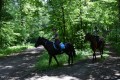 Zawody TREC_12_13 (39)