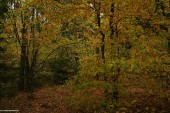 Gminne pejzaże - Srebrna (6)