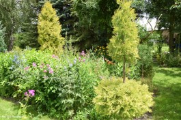 Ogrody_Sarzała_2020 (45)