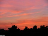 Urokliwe widoki - Naruszewo (4)