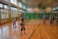 Międzyszkolny turniej piłki siatkowej_2016 (44)