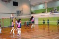 Międzyszkolny turniej piłki siatkowej_2016 (71)