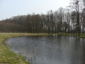 Gminne pejzaże - Nacpolsk (8)