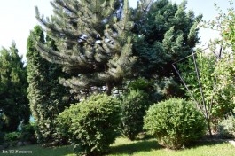 Ogródek_Jabłoński_2021 (13)