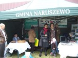 IV Jesienny Jarmark Od pola do stołu (21)