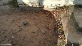 Budowa przyłącza wod. i zbiornika w Postróżu_21102019 (5)