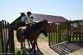 Zawody TREC_12_13 (10)