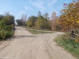 Krysk droga_18.10 (6)