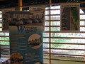 Powiatowy Turniej Bezpieczeństwa w Ruchu Drogowym_2011 (17)