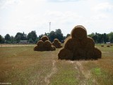 Gminne pejzaże - Skwary (4)