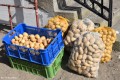 Festyn kartoflany_20.09 (62)