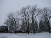 Parafia_Radzymin_9