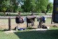 Zawody TREC_12_13 (7)