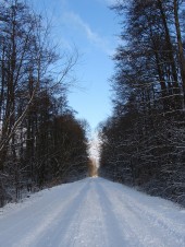 Wyróżnienie - Maria Sadowska