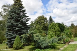 Ogrody_Sarzała_2020 (36)