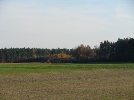 Jesień Maria Sadowska1