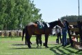 Zawody TREC_12_13 (19)
