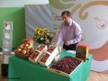Owoce i warzywa w szkole_19.06.2015r. (20)