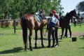 Zawody TREC_12_13 (16)