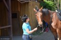 Zawody TREC_12_13 (6)