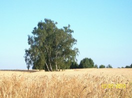 Lato Karolina Kłosiewicz