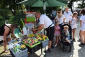 Animacje dla dzieci_dmuchańce_zbiórka dla Edyty_18.07 (24)