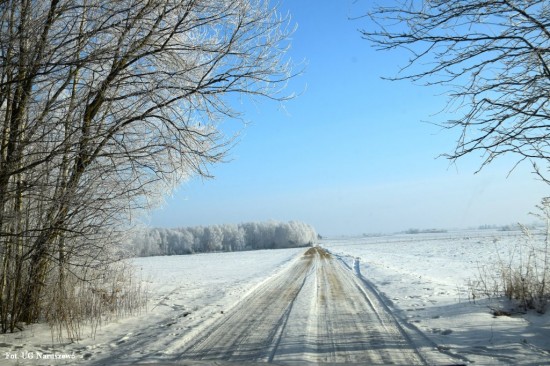 Zima_szron_16_02_2021 (20)