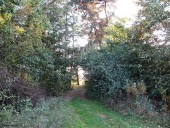 Gminne pejzaże - Naruszewo (12)
