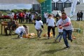 Mazowieckie Dni Rolnictwa 2016 (103)