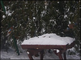 Urokliwe widoki - Kębłowice (6)