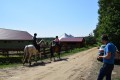Zawody TREC_12_13 (37)