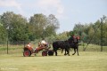Festyn Rodzinny w Krysku_20.08.2016r (143)